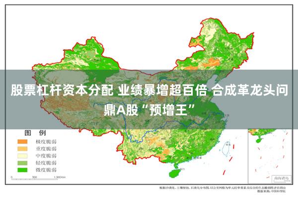 股票杠杆资本分配 业绩暴增超百倍 合成革龙头问鼎A股“预增王”