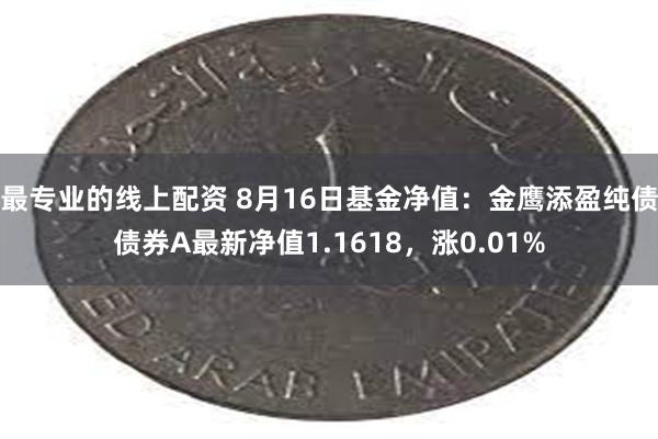 最专业的线上配资 8月16日基金净值：金鹰添盈纯债债券A最新净值1.1618，涨0.01%