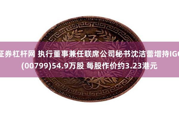 证券杠杆网 执行董事兼任联席公司秘书沈洁蕾增持IGG(00799)54.9万股 每股作价约3.23港元