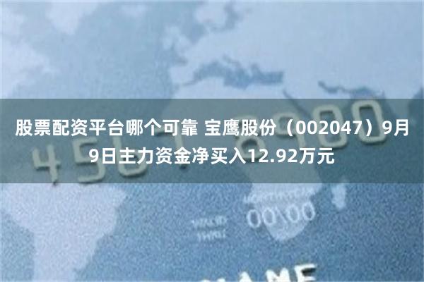 股票配资平台哪个可靠 宝鹰股份（002047）9月9日主力资金净买入12.92万元