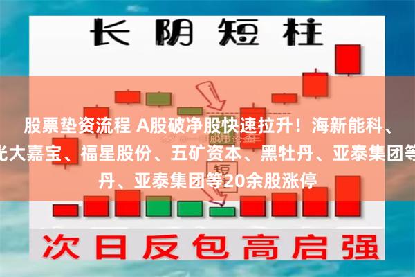 股票垫资流程 A股破净股快速拉升！海新能科、中南股份、光大嘉宝、福星股份、五矿资本、黑牡丹、亚泰集团等20余股涨停