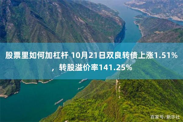 股票里如何加杠杆 10月21日双良转债上涨1.51%，转股溢价率141.25%