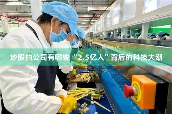 炒股的公司有哪些 “2.5亿人”背后的科技大潮